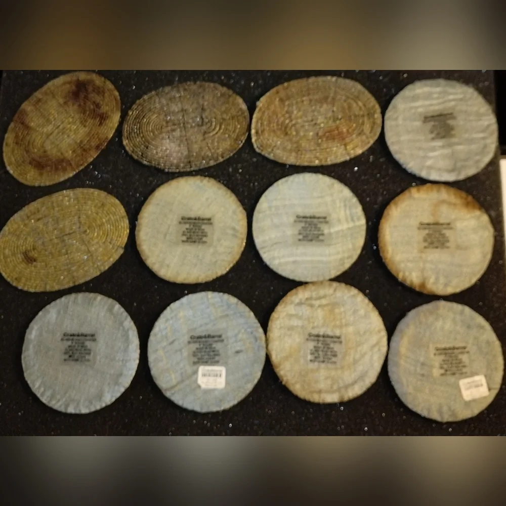 Crate & Barrel Silver Beaded Coasters with 100% Silk Backing Set of 8 (+4)